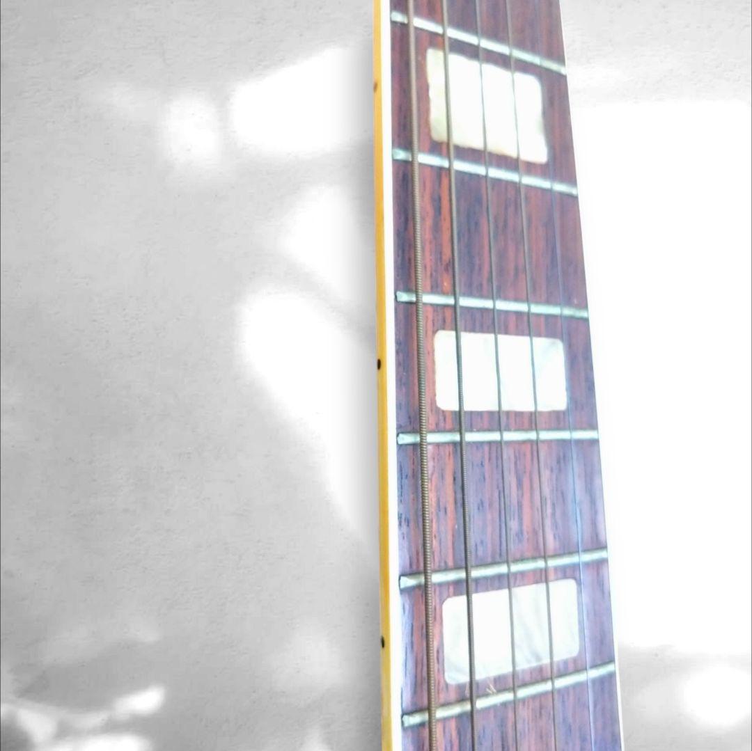 アコースティックギター　EliteTAKAMINEGAKKI HM200