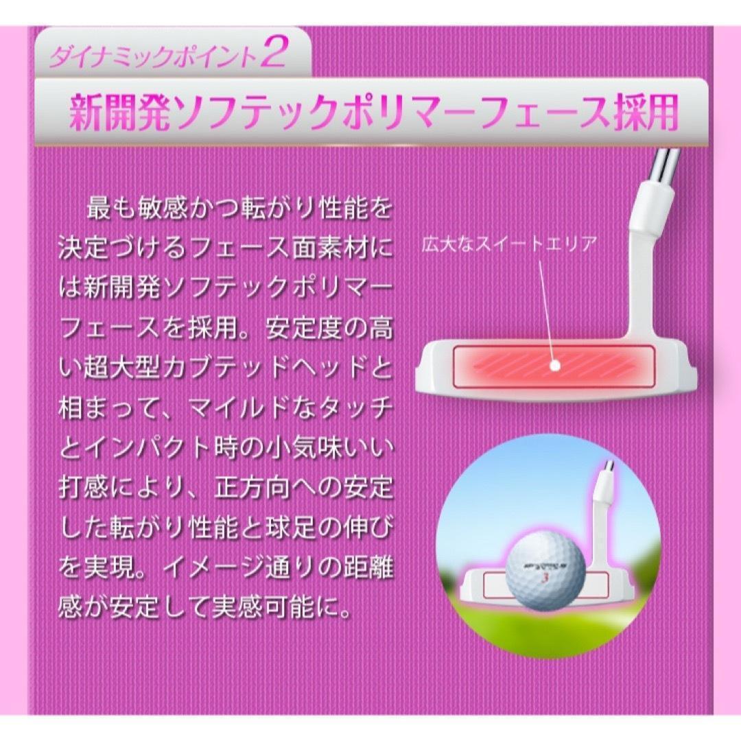 ★女子に嬉しい100切りセット★ ダイナミクス レディス チッパー & パター