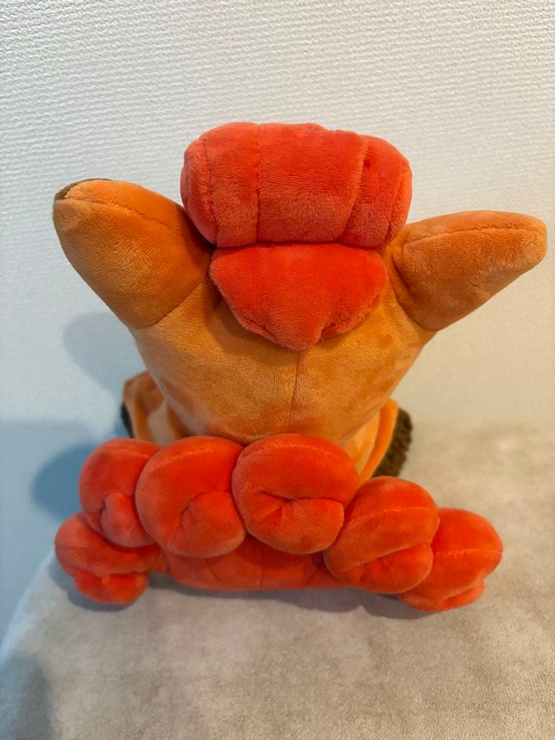 ポケモン ロコンのポンチョを着たピカチュウ ポンチョピカチュウ ロコン