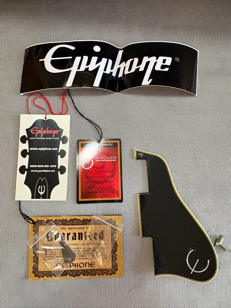 ギター Epiphone Shinichi Ubukata ES-355 Ver.01