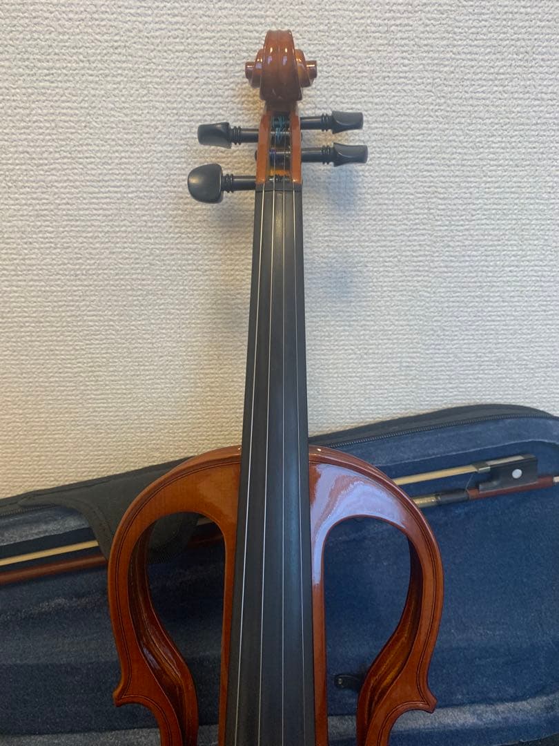カルロジョルダーノ EV-202(C) エレクトリックバイオリン