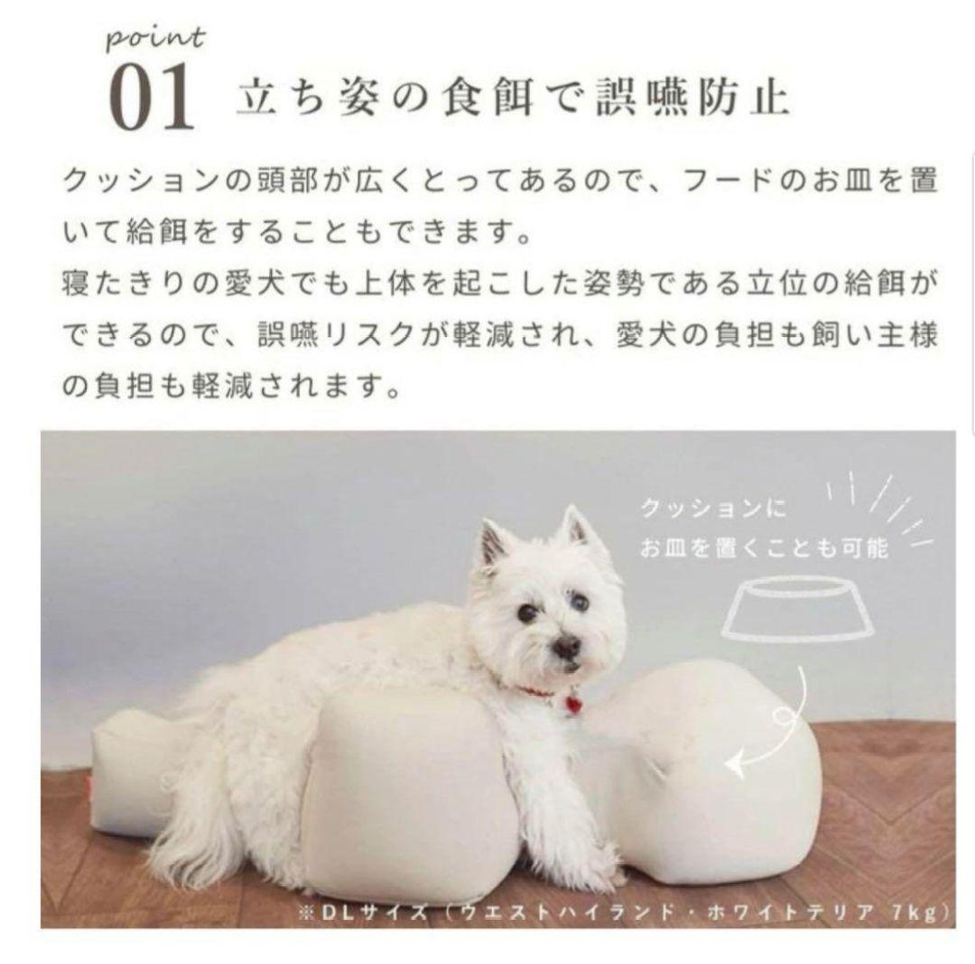 【新品未使用】OneAid リラクッション Lサイズ ブラウン (カバーなし)