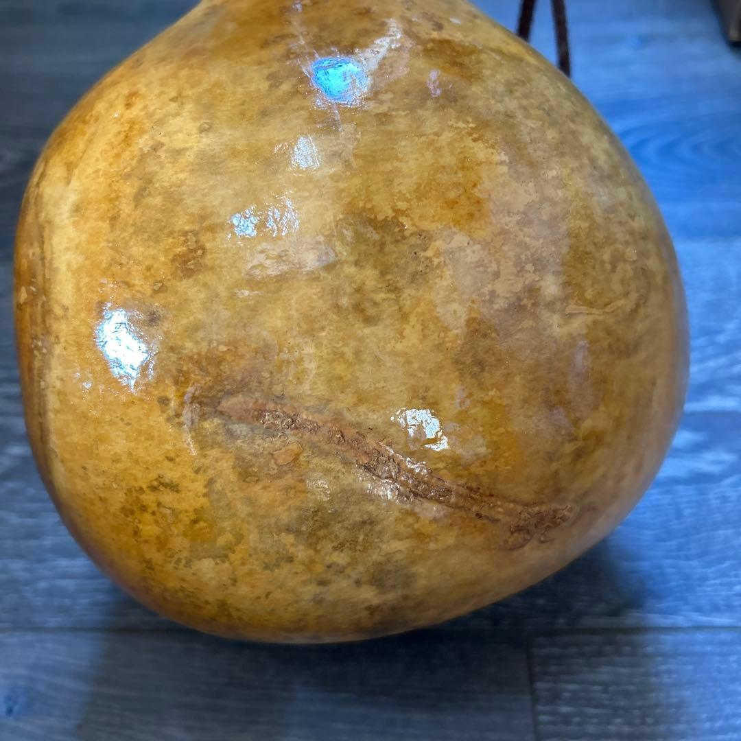 フラダンス イプ