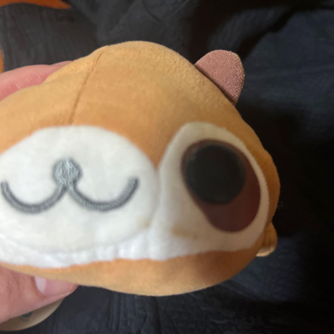 【激レア　希少】　まめゴマ　世界に一つだけのゴマぬいぐるみ
