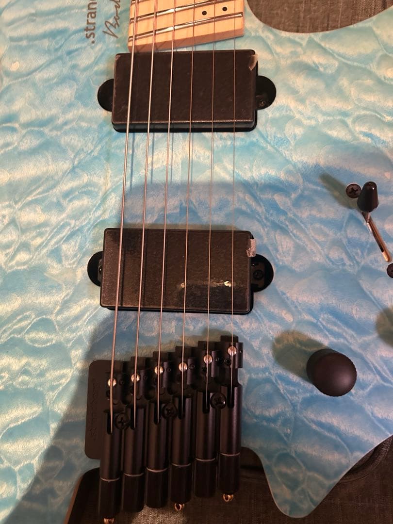 Strandberg Boden RAS6 朝日六花モデル バンドリ