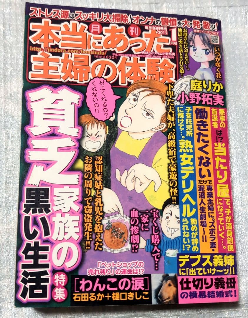 レディースコミック　レディコミ　まとめ売り