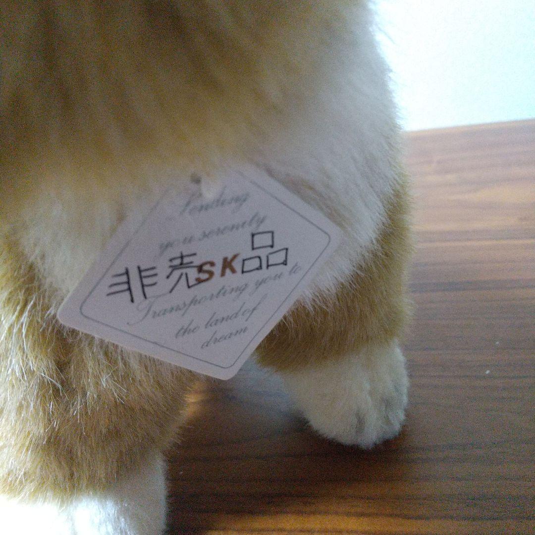 四季オリジナル柴犬