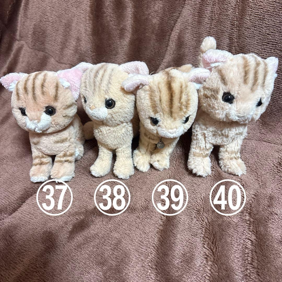 【大量】にゃんこだけ！ぬいぐるみセット【まとめ売り】