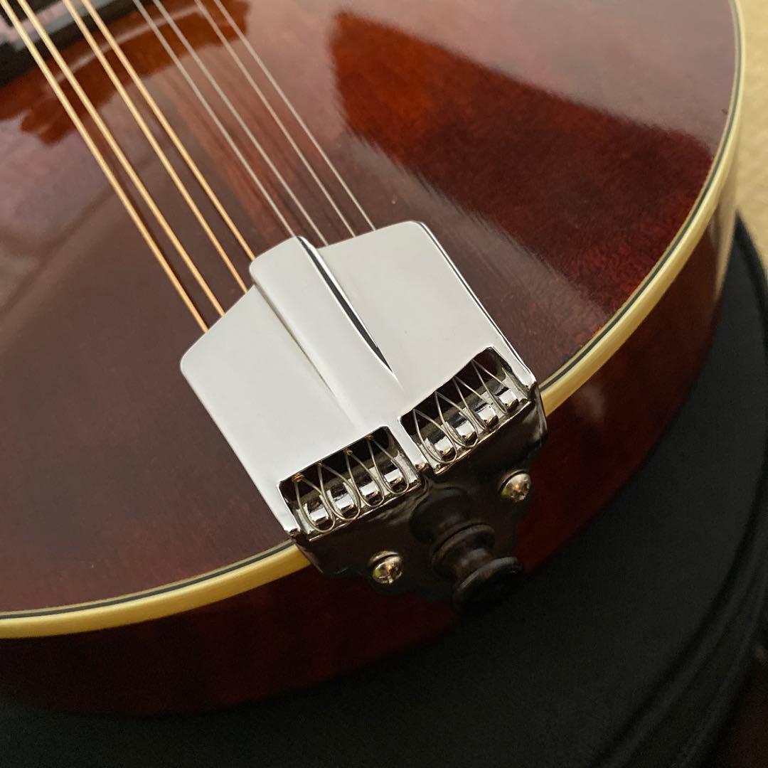 Eastman MD-505/A.Red フラットマンドリン メンテナンス前提で