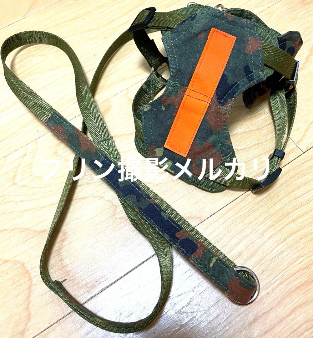 2つセットで★アズノゥアズデワン★古音リード＆ハーネス　ペア