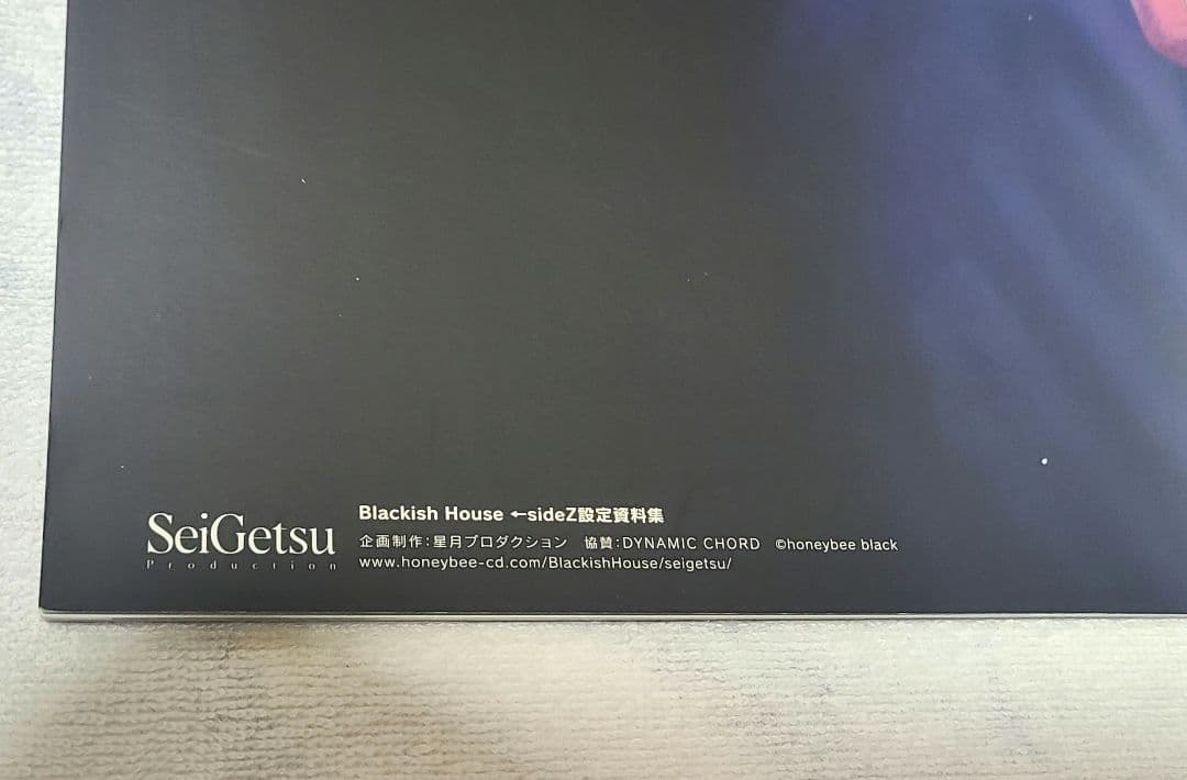 Blackish House ←sideZ ブラハ 設定資料集