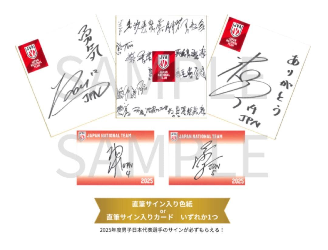【限定】JVA バレーボール男子日本代表　福袋2026