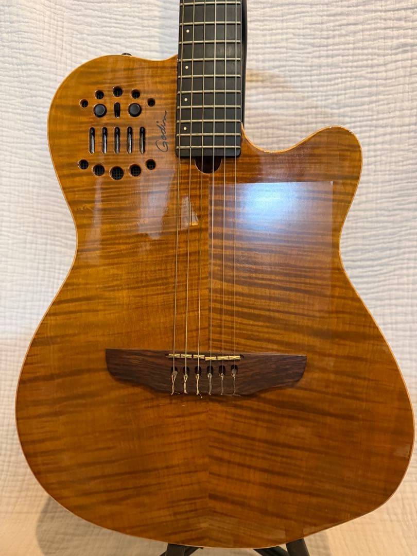 ギター Godin ACS Slim 10th Anniversary 100/100