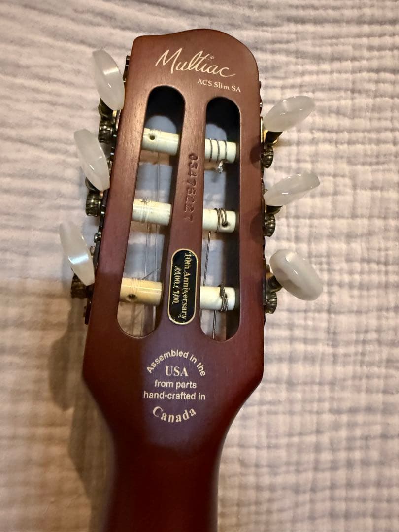 ギター Godin ACS Slim 10th Anniversary 100/100