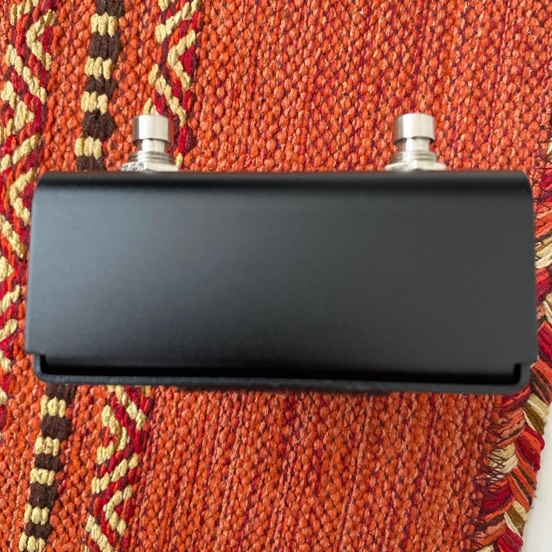 Strymon FLINT トレモロリバーブ　V2
