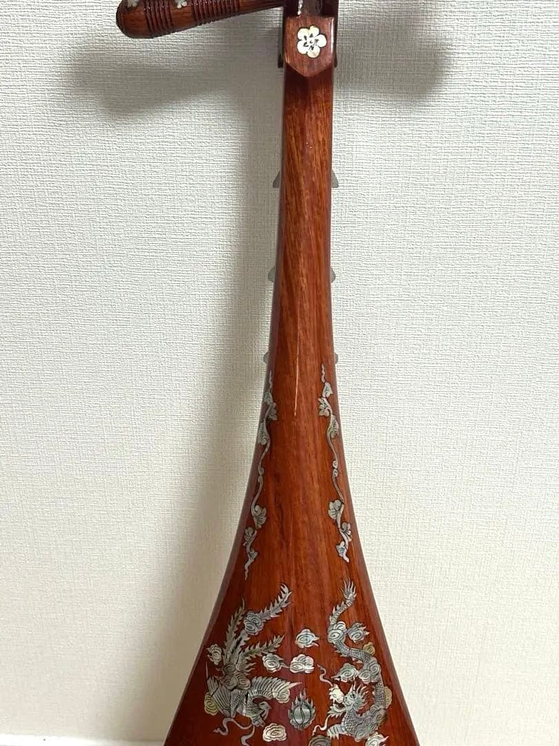 s*m様 ダンティバ　ベトナム楽器　琵琶