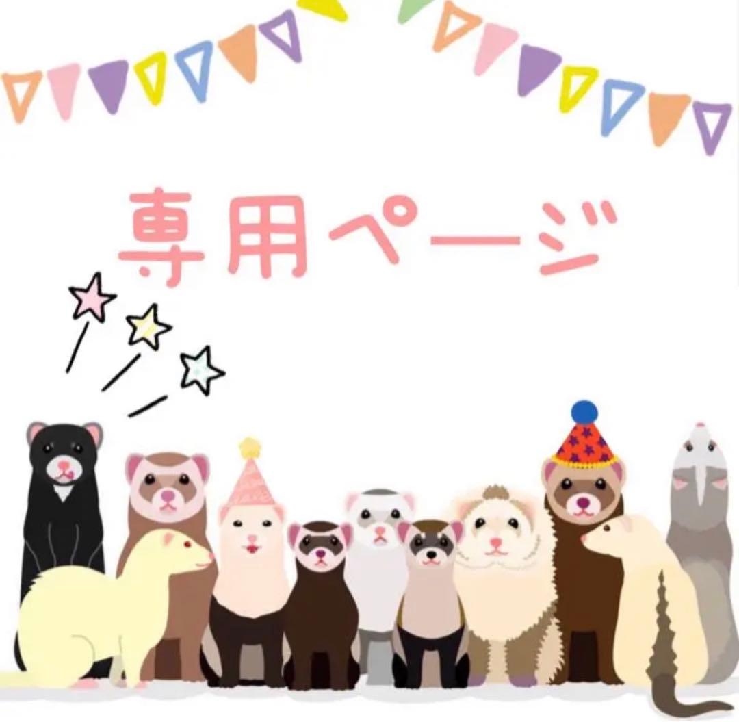 専用ページ　10点