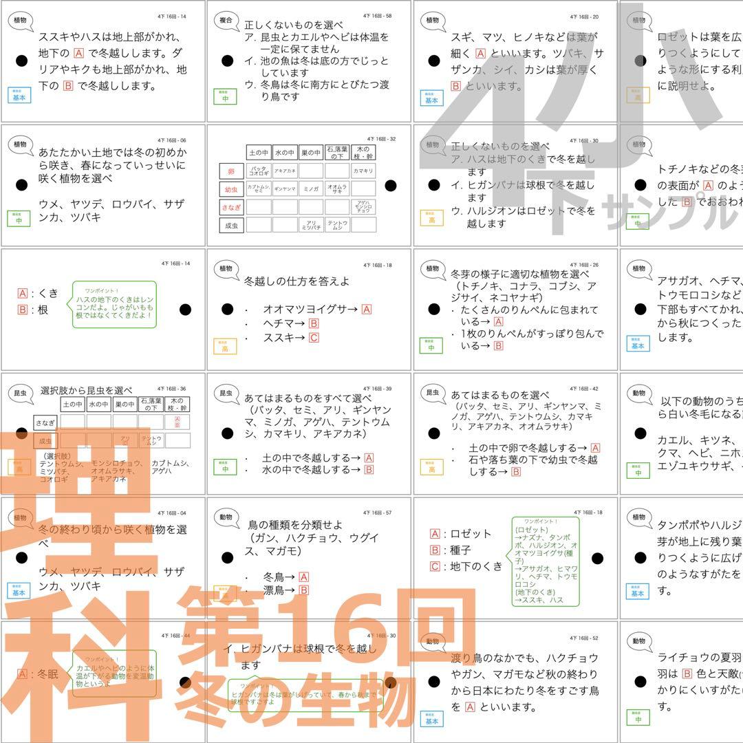 中学受験 暗記カード【4年生向け 理科上下 生物全セット】植物,動物