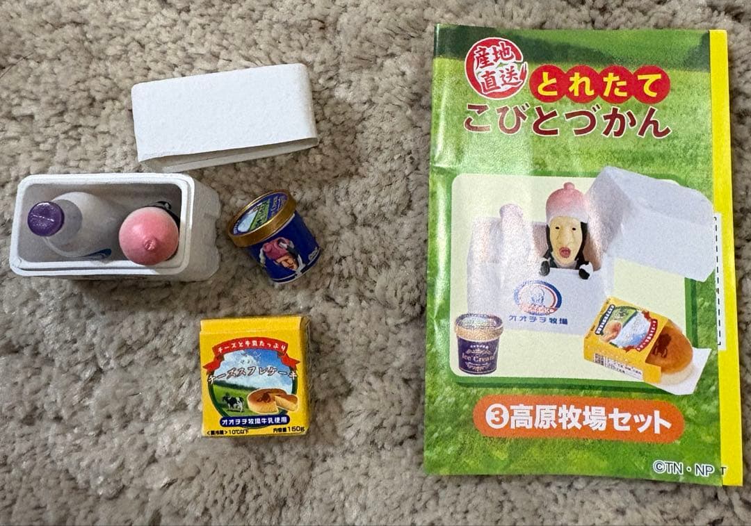 産地直送とれたてこびとづかん　全6種類セット