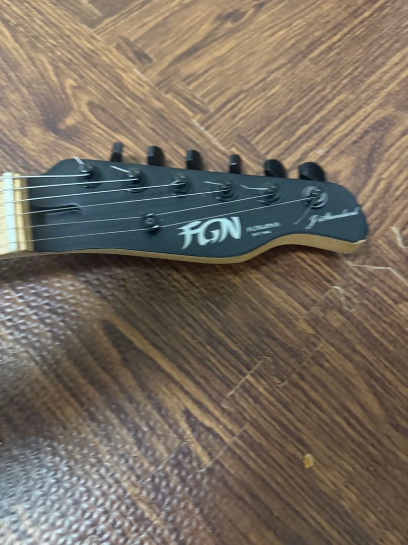 ギター FGN FUJIGEN JIL-ASH-DE664-M EMG