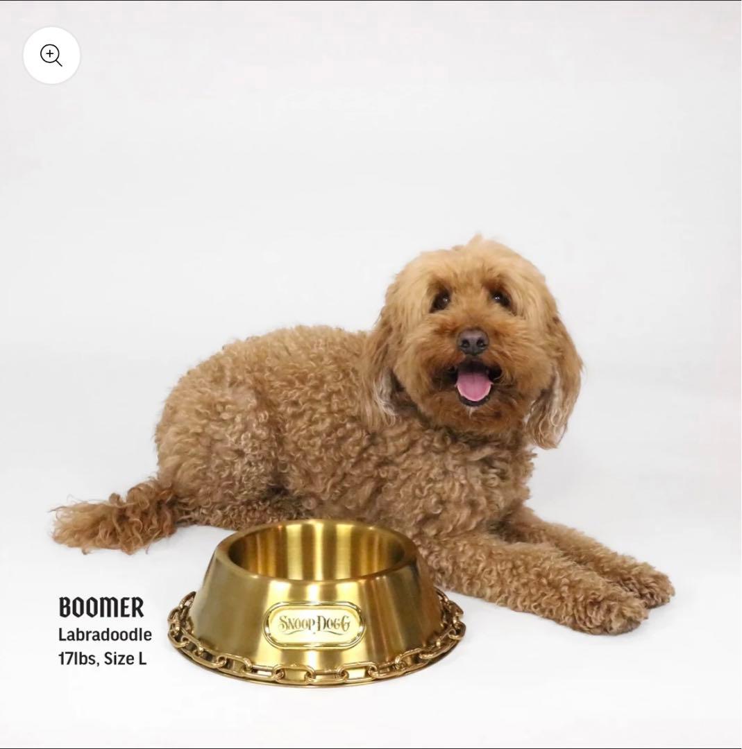 スヌープドッグ　コラボ　Sサイズ　ドッグボール　キャットボール　カッコイイ