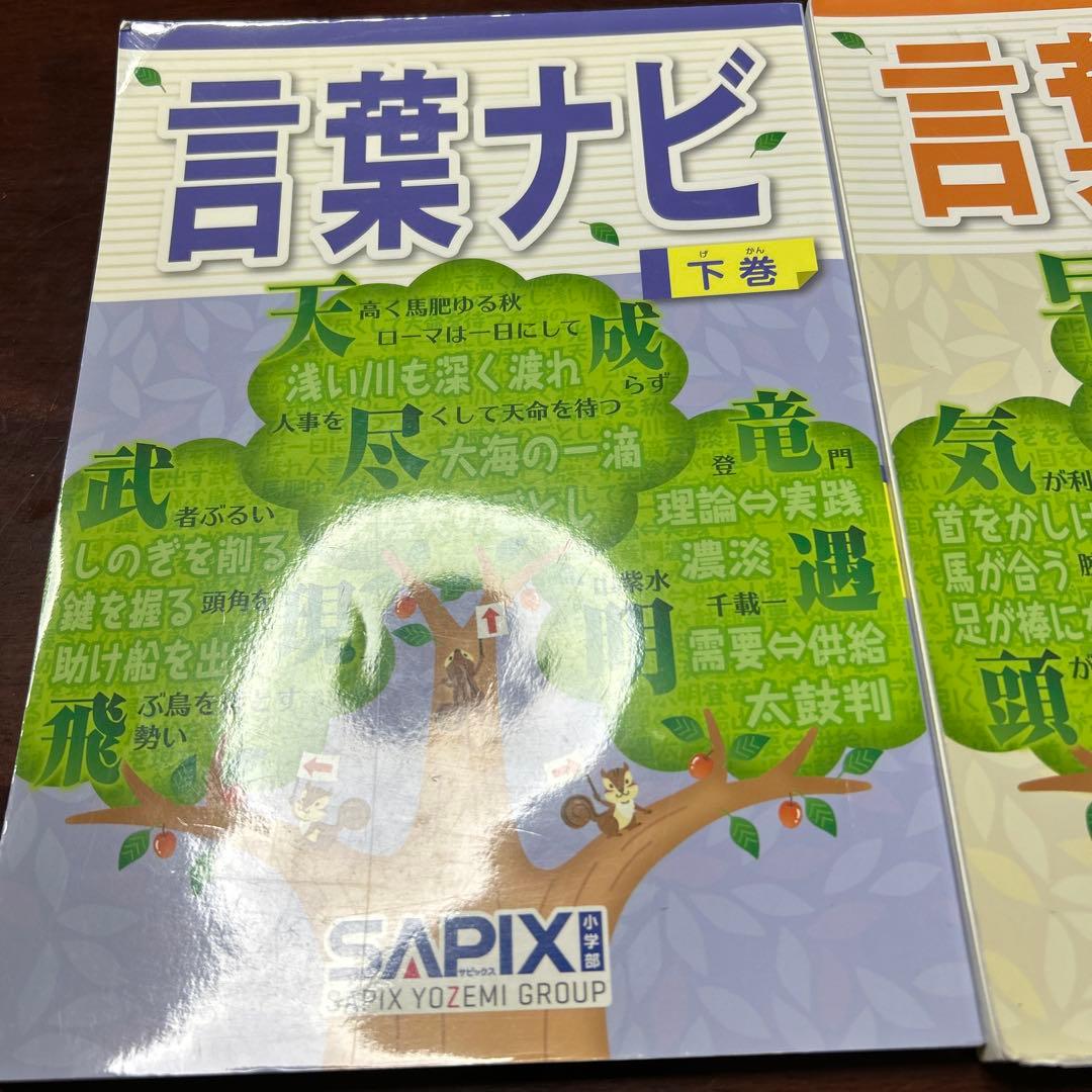 16-17や　重要教材　サピックス　SAPIX 言葉ナビ 上巻・下巻セット