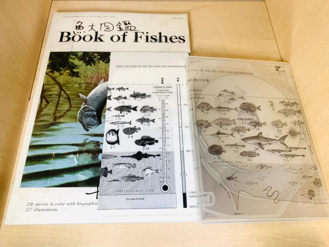 サカナクション「魚図鑑」プレミアム BOX 3CD+魚大図鑑 +特典