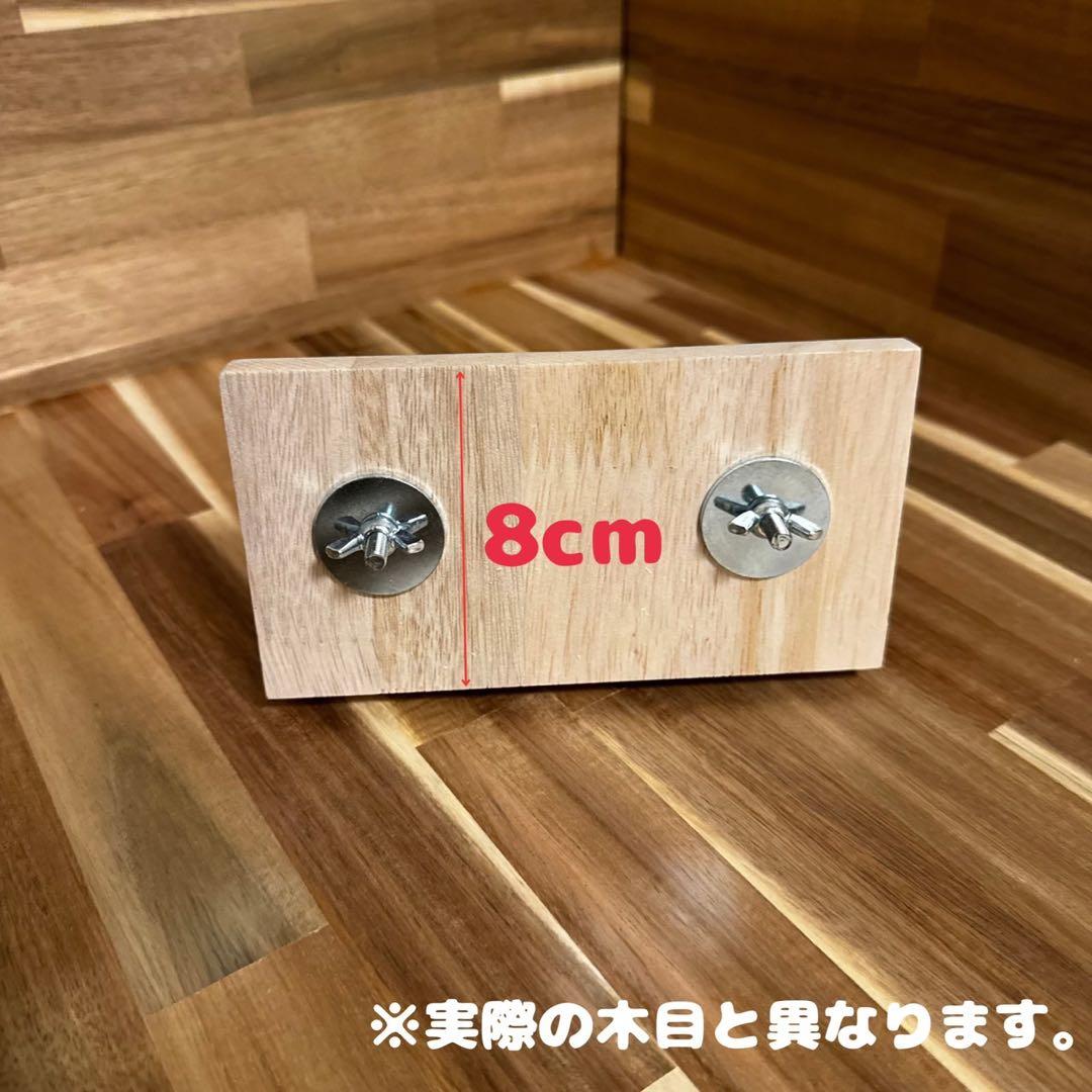 【もふりん工房】オリジナル チンチラさんお迎えスターターセット