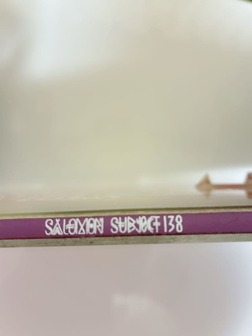 サロモンサブジェクト　138cm スノーボード　ビンディング・カバー付き