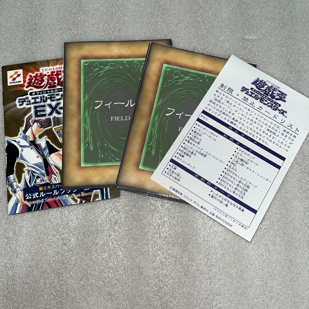 遊戯王OCG デュエルモンスターズ EX-R