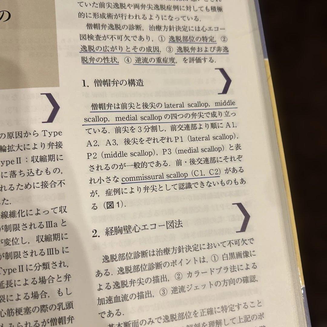 大動脈弁・僧帽弁疾患を心エコー図で診る・活かす