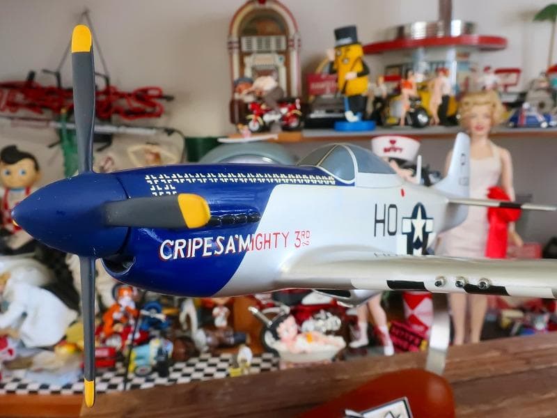 木製飛行機模型 40cm マスタングP-51 クリプスマイティ1/48