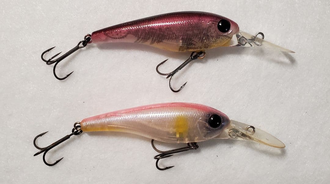 クオン　フローシャッド　セット