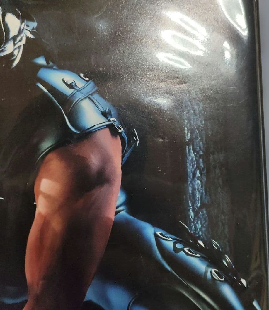 NINJA GAIDEN　バインダー