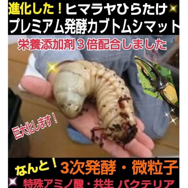 【3セット】10リットルケース入☆プレミアム発酵カブトムシマット☆幼虫入れるだけ