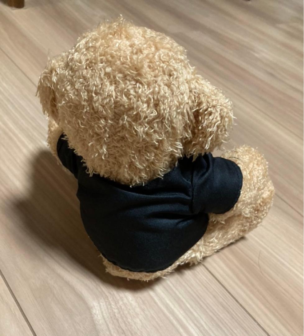 ウ*読様 【激レア】テイラースウィフト fearless teddy bear