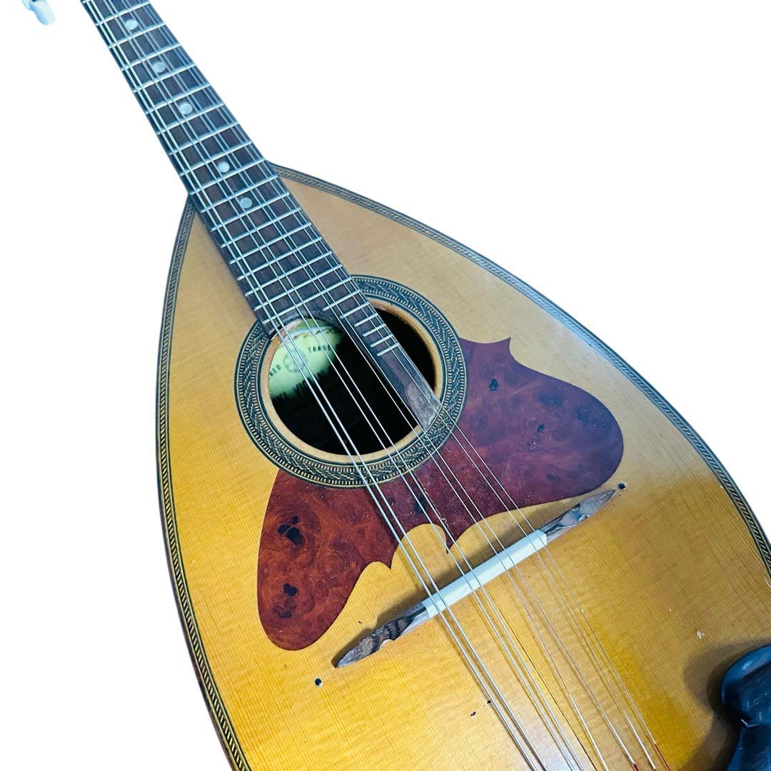 SUZUKI マンドリン　NO230