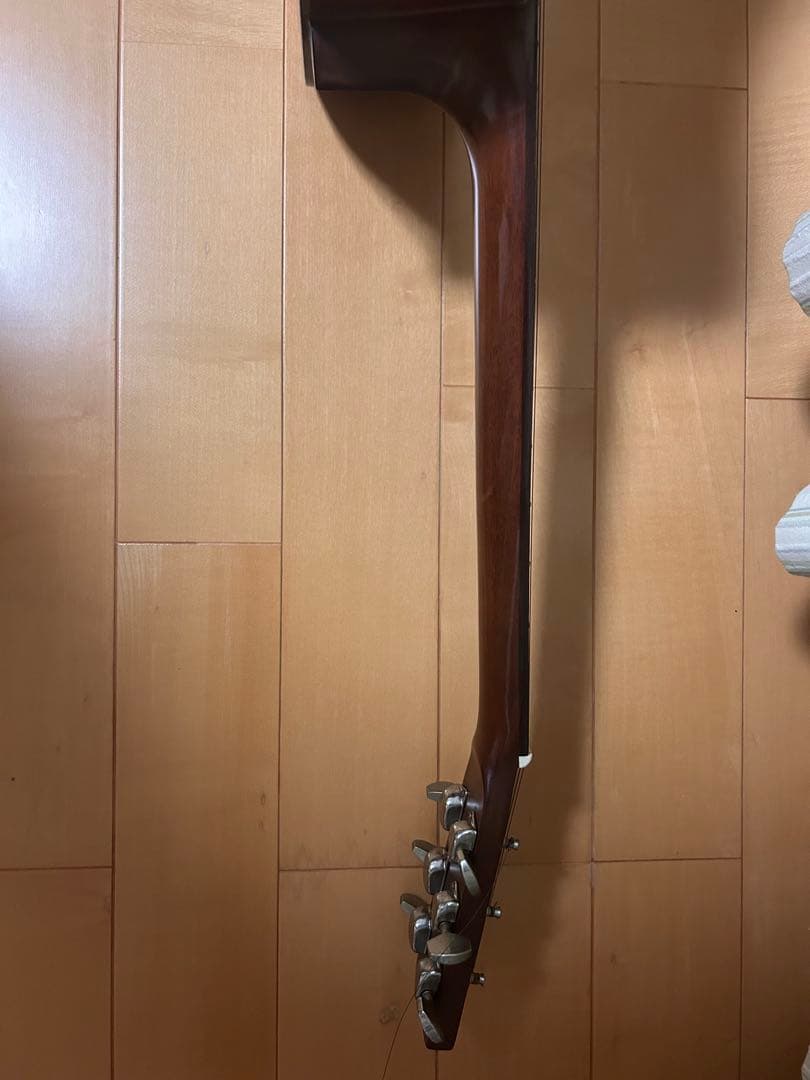 【morris】【安値】アコースティックギター