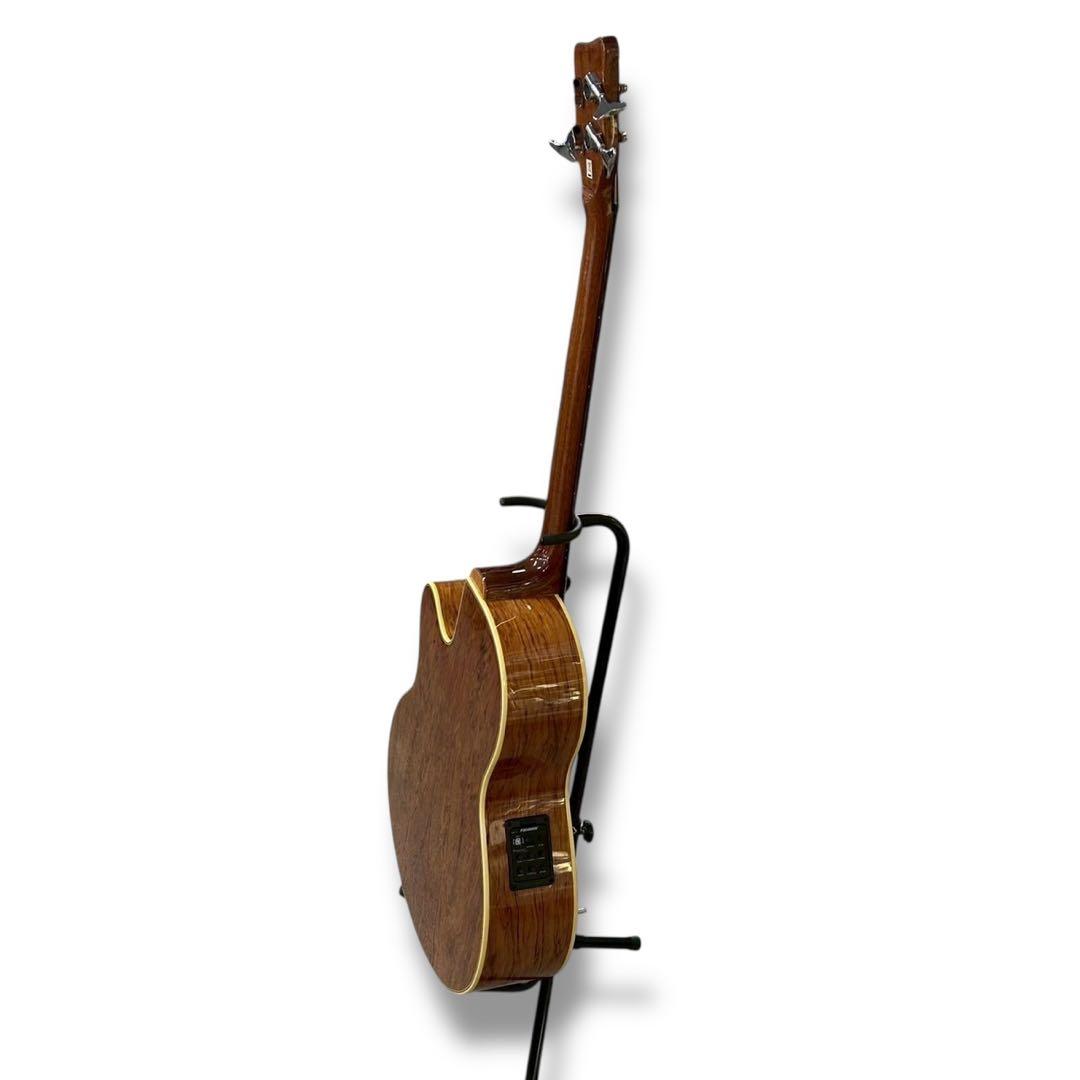 Warwick Alien Deluxe 4弦 アコースティックベース
