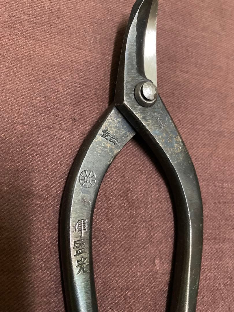 輝盛光 本職用金切鋏 エグリ　210mm 盛光