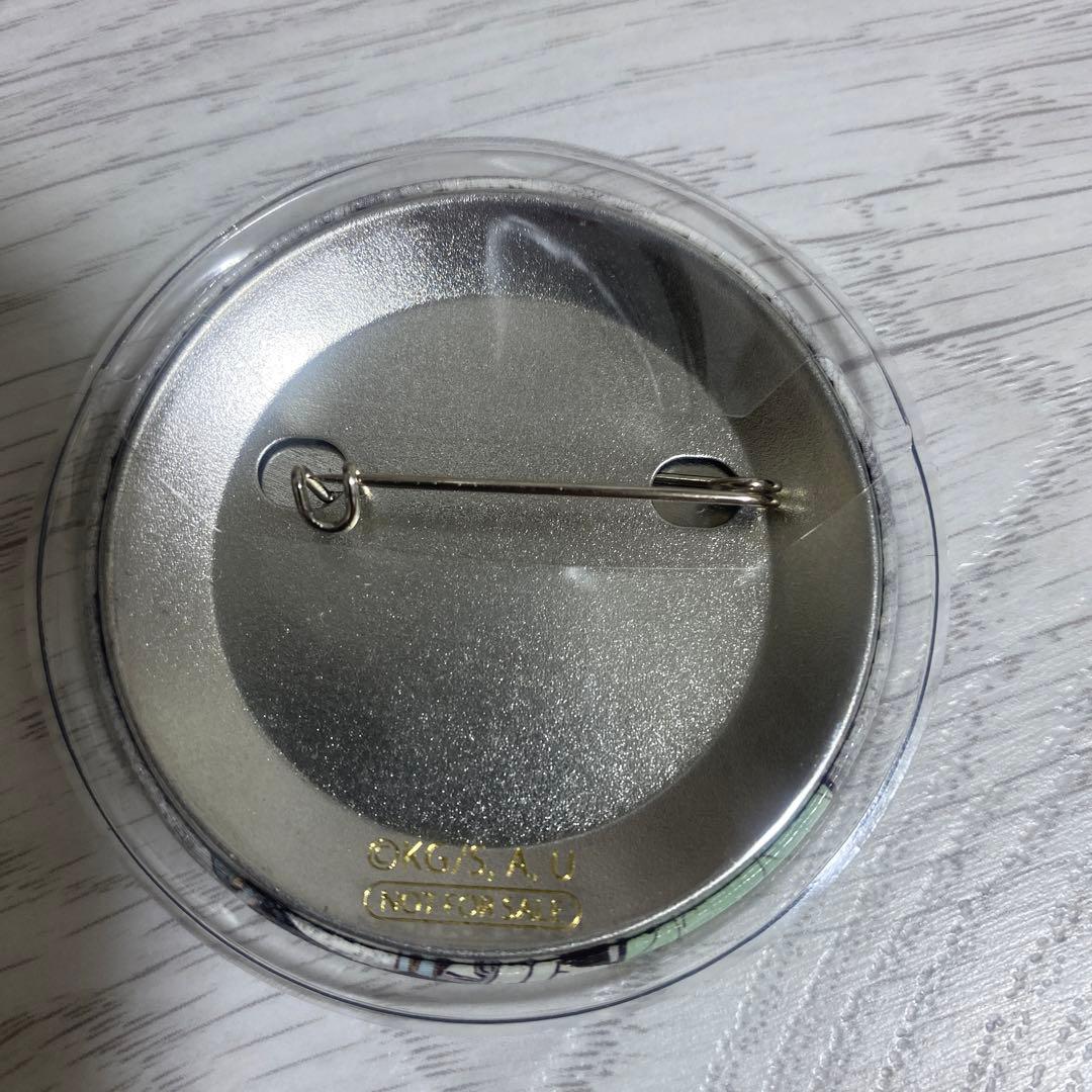 鬼滅の刃 幕間画 缶バッジ 胡蝶しのぶ カナエ 栗花落カナヲ アオイ 堕姫 6点