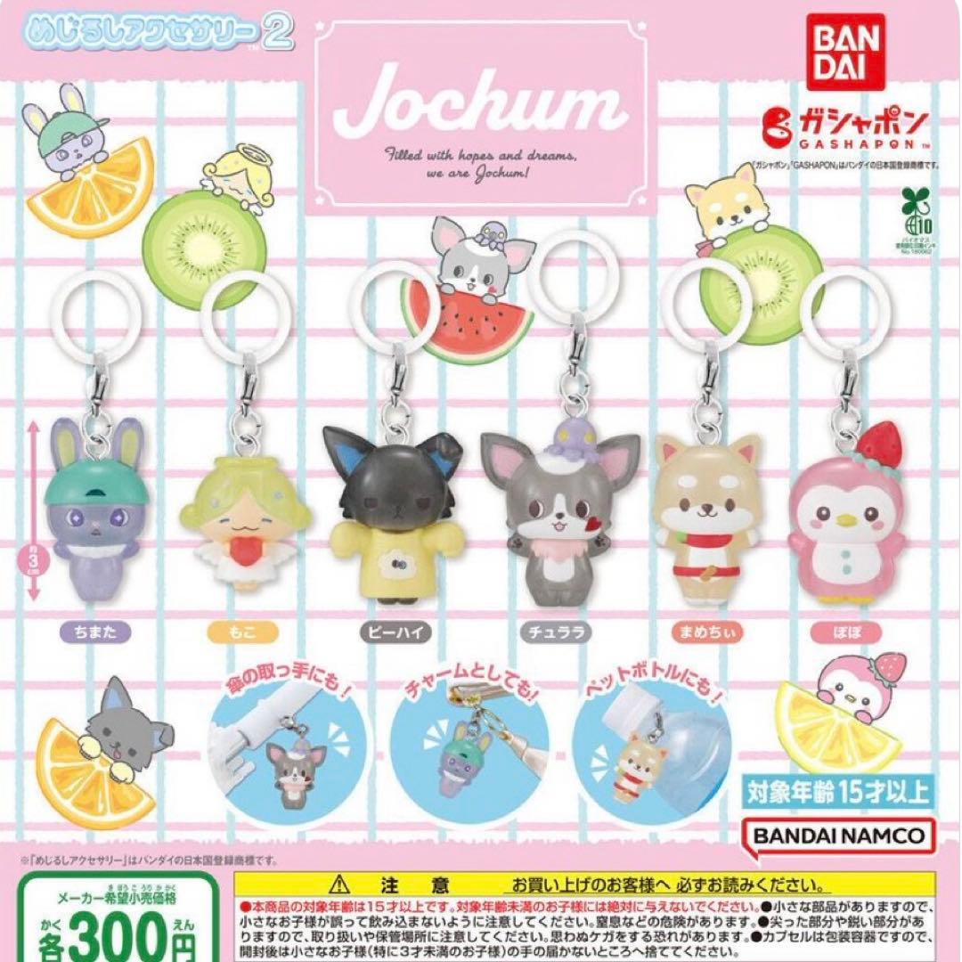 JOCHUM めじるし コンプセット