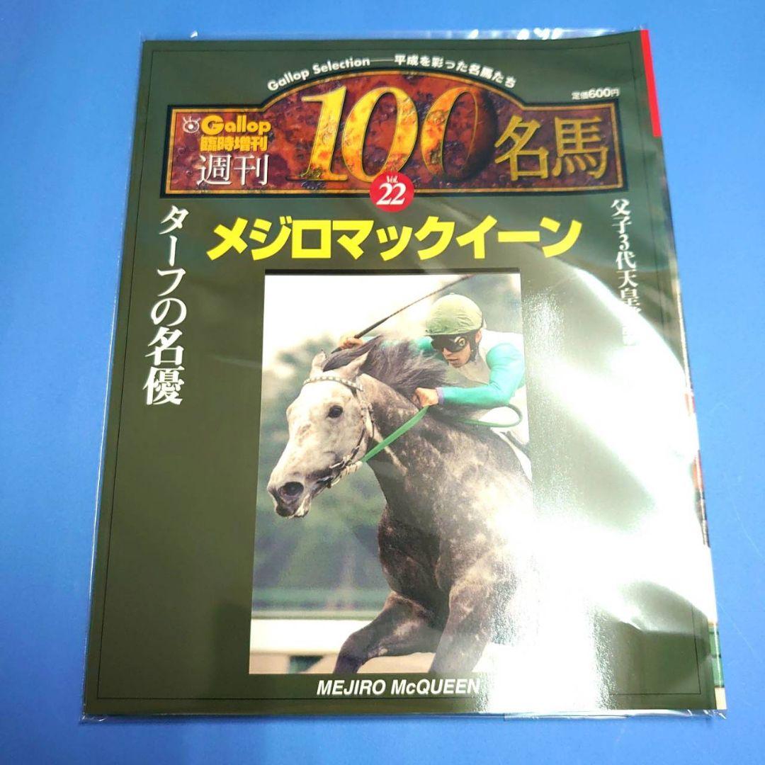 【稀少】メジロマックイーン アイドルホース ぬいぐるみ競馬ウマ娘 馬AVANTI