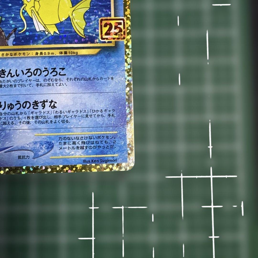 ひかるコイキング25th②