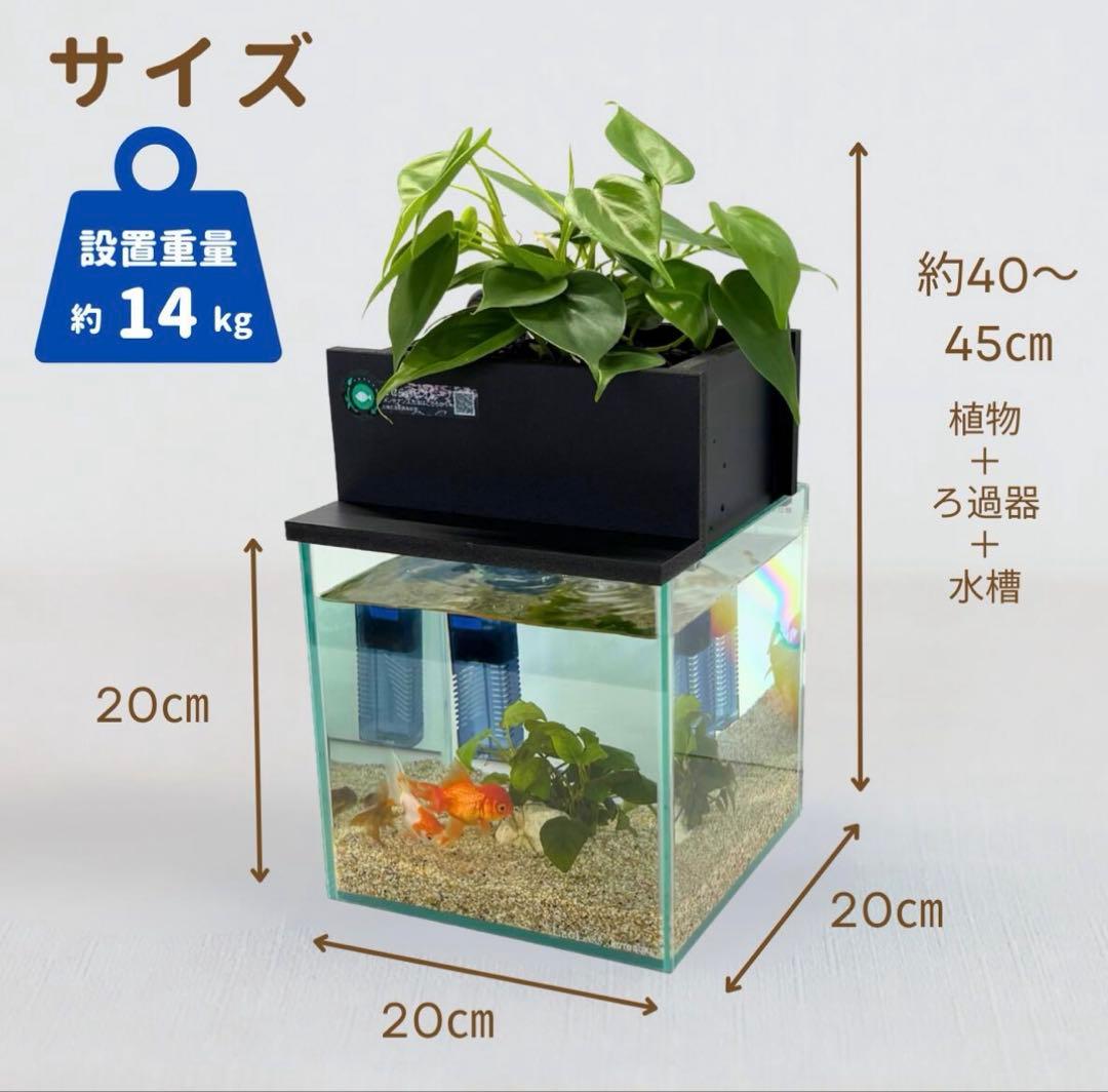 水槽　せせらぎビオトープ　20cm