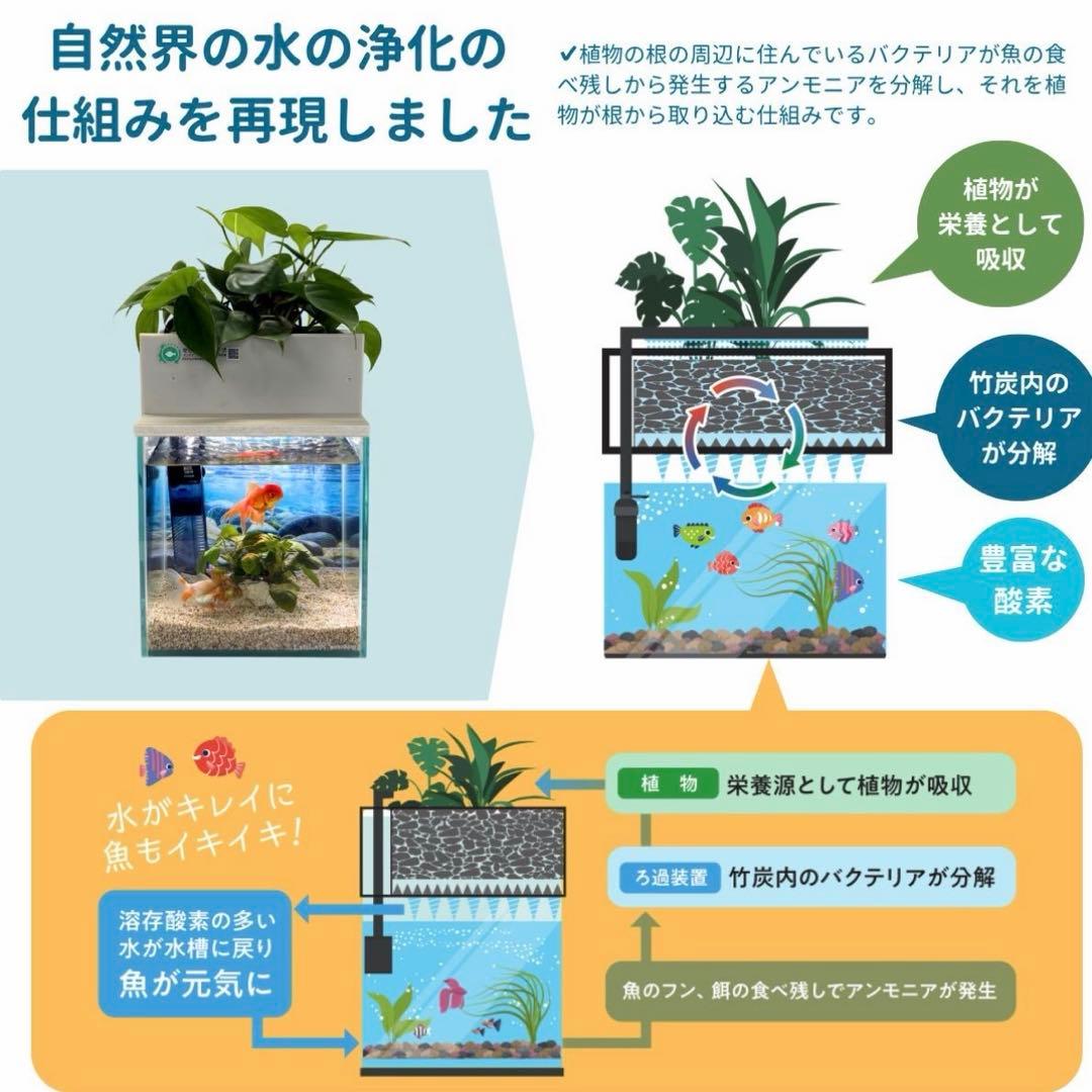 水槽　せせらぎビオトープ　20cm