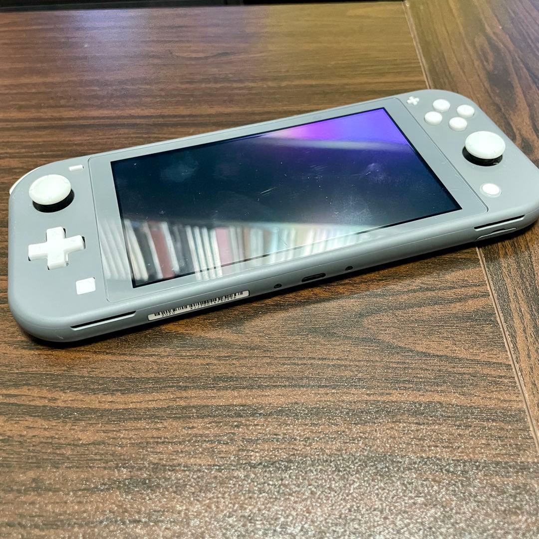 の*ん様 Nintendo Switch Lite グレー 本体 ジャンク品