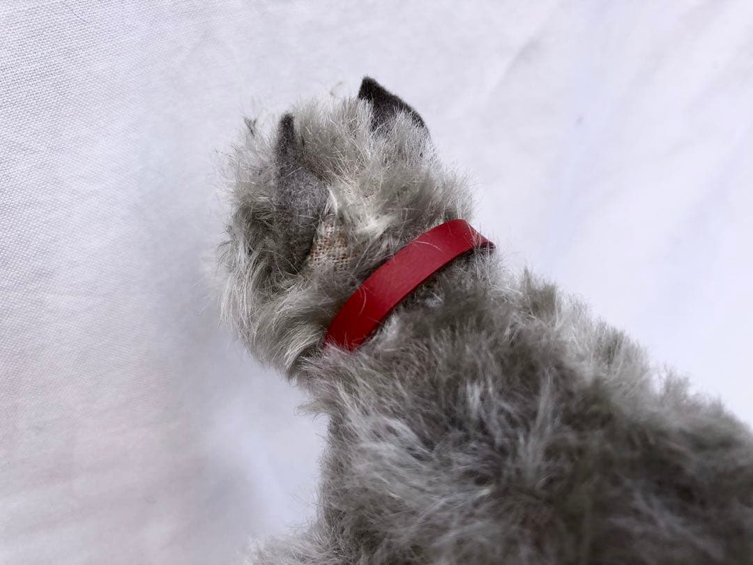 Steiff 　シュナウザーのTessi