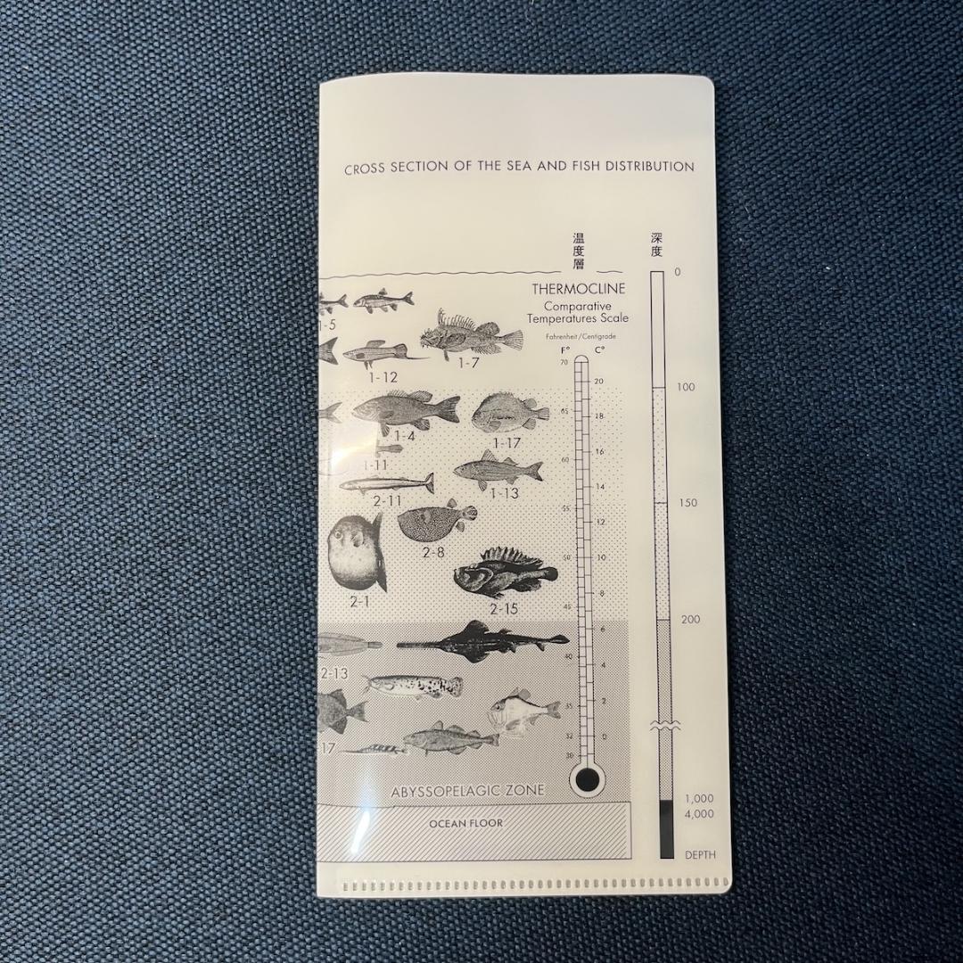 サカナクション 魚図鑑 完全生産限定BOX 外箱開封済 中身シュリンク未開封