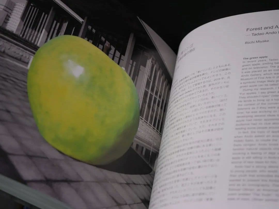 安藤忠雄　直筆サイン入り TADAOANDO YOUTH 直筆ドローイング